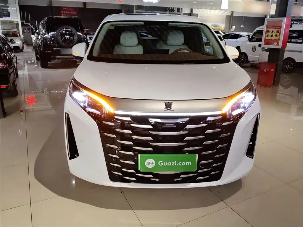 BYD Xia 2025 из CN, фото 8