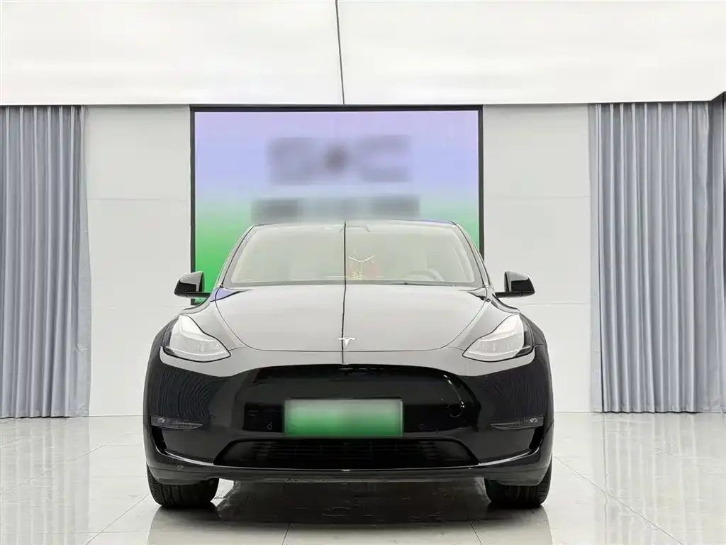 Tesla Model Y 2022 из CN, фото 3