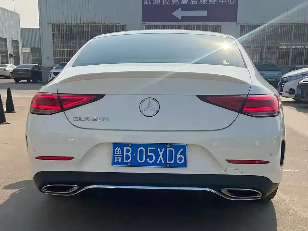 Mercedes-Benz CLS 2021 из CN, фото 2