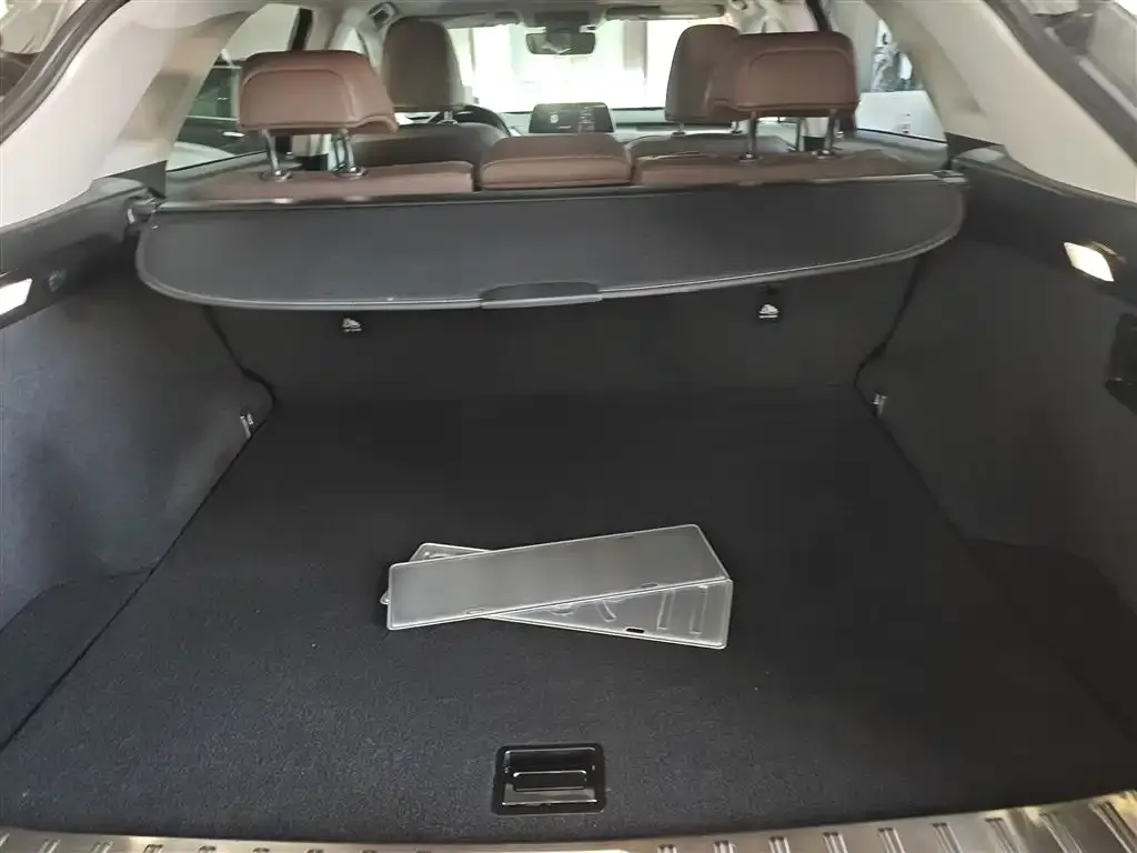 Lexus RX 2021 из CN, фото 3