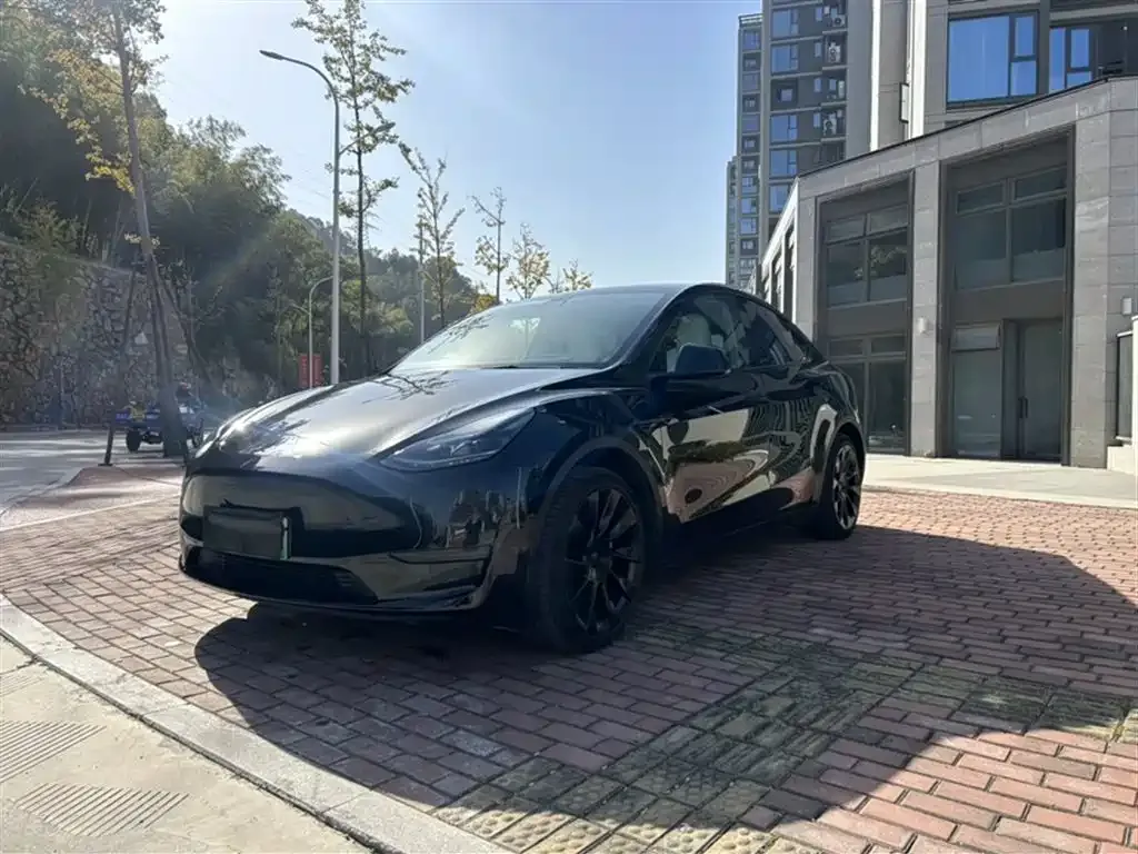 Tesla Model Y 2023 из CN, фото 9