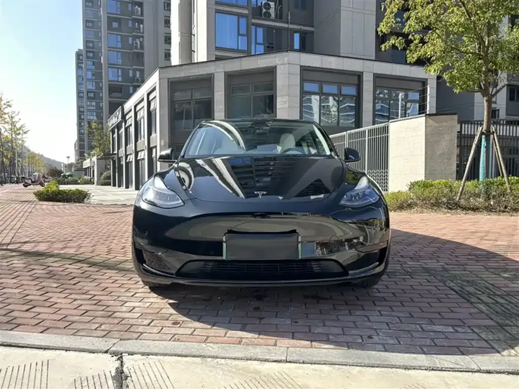 Tesla Model Y 2023 из CN, фото 8