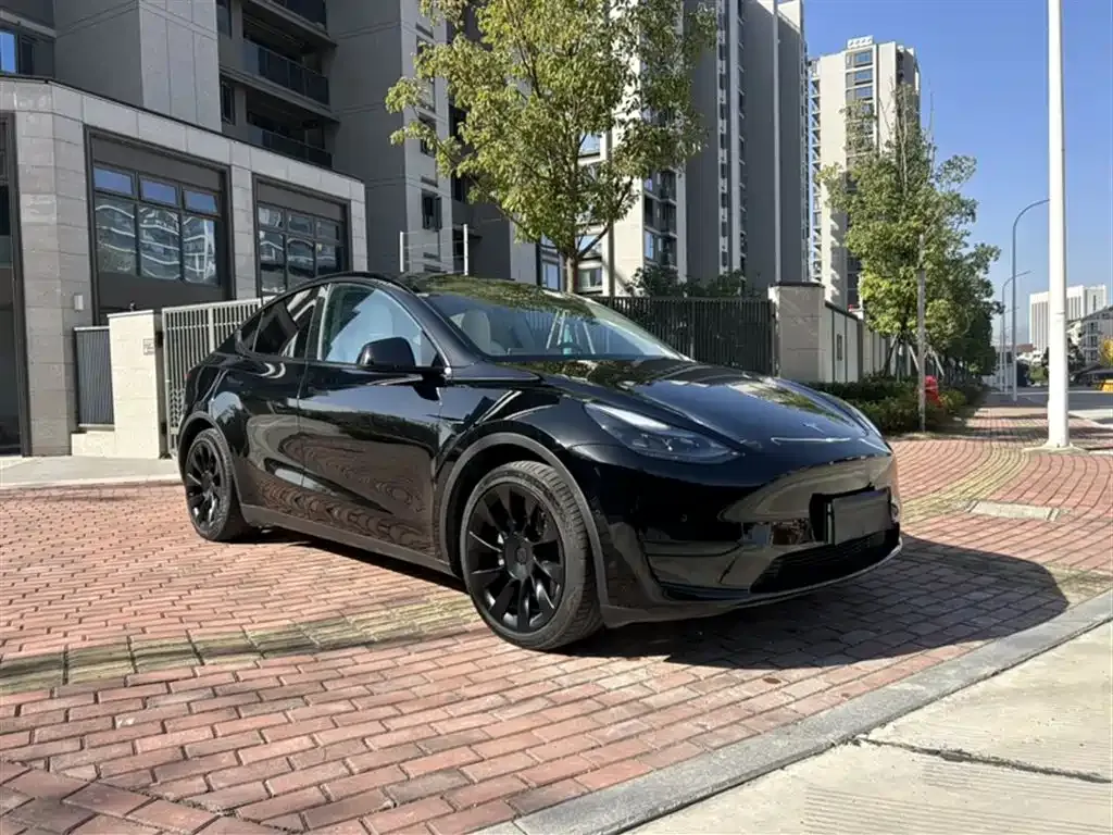 Tesla Model Y 2023 из CN, фото 6