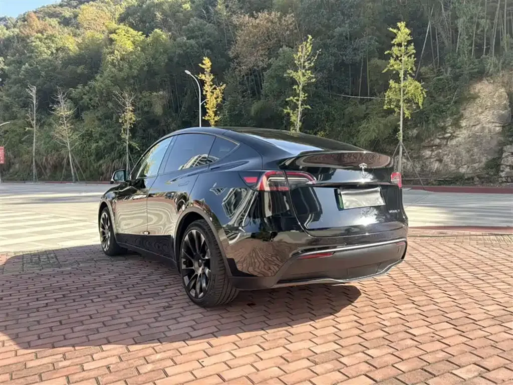 Tesla Model Y 2023 из CN, фото 10
