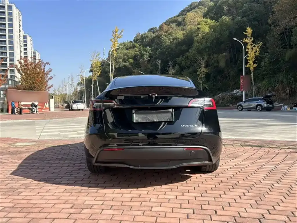 Tesla Model Y 2023 из CN, фото 3