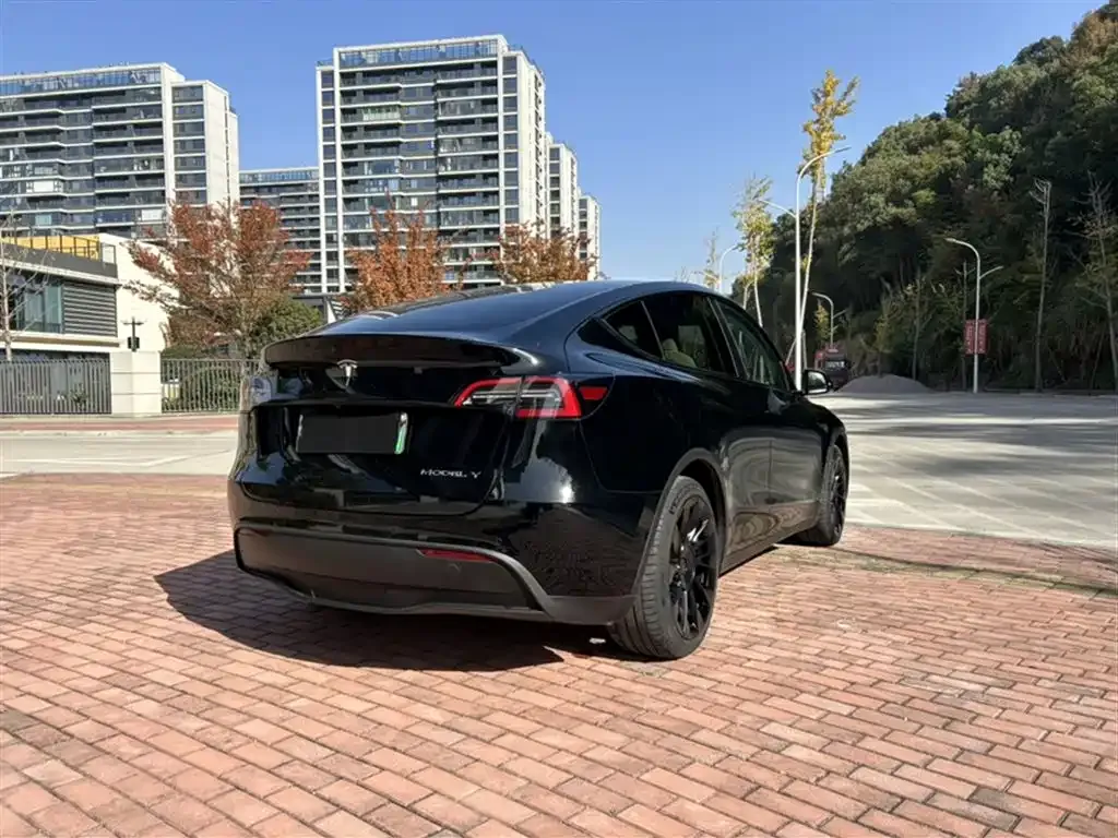 Tesla Model Y 2023 из CN, фото 5