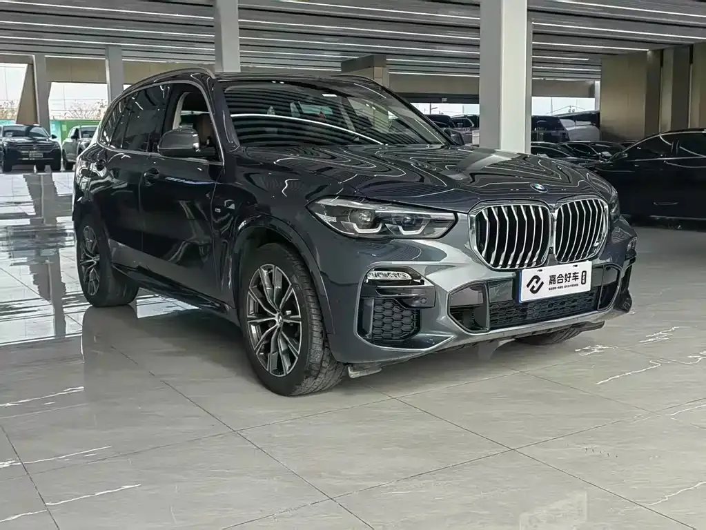 BMW X5 (Import) 2021 из CN, фото 7
