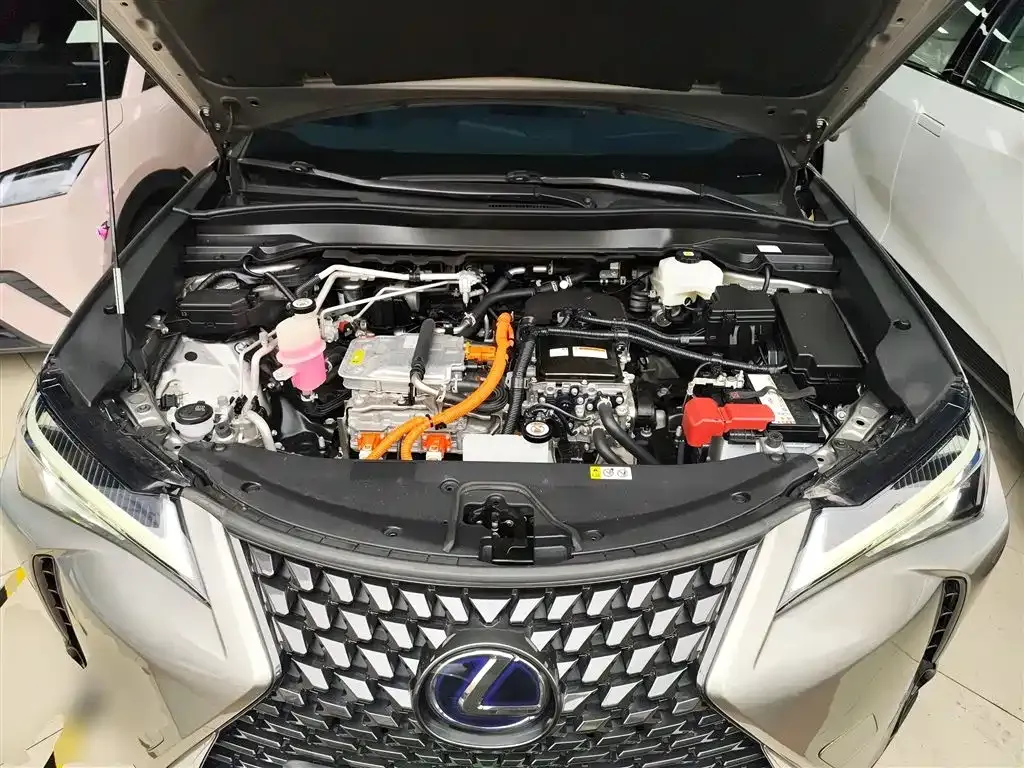 Lexus UX New Energy 2022 из CN, фото 10