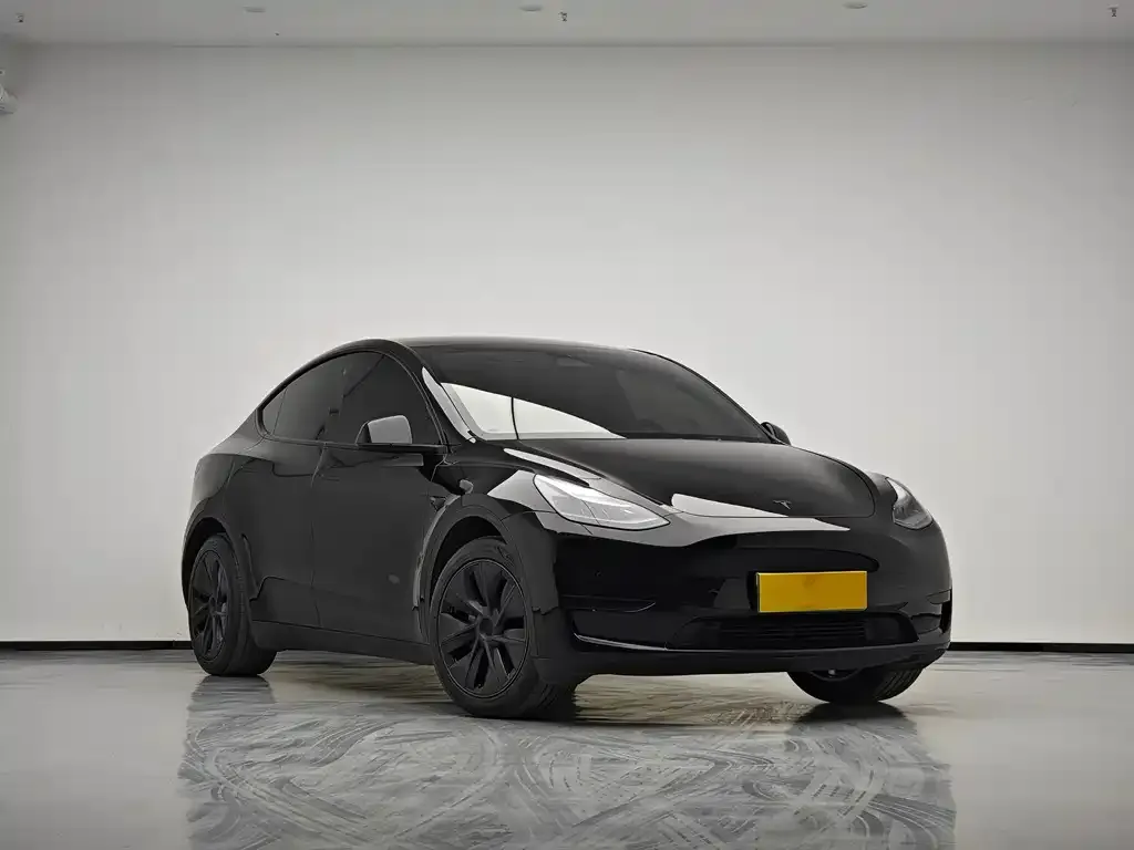 Tesla Model Y 2024 из CN, фото 2