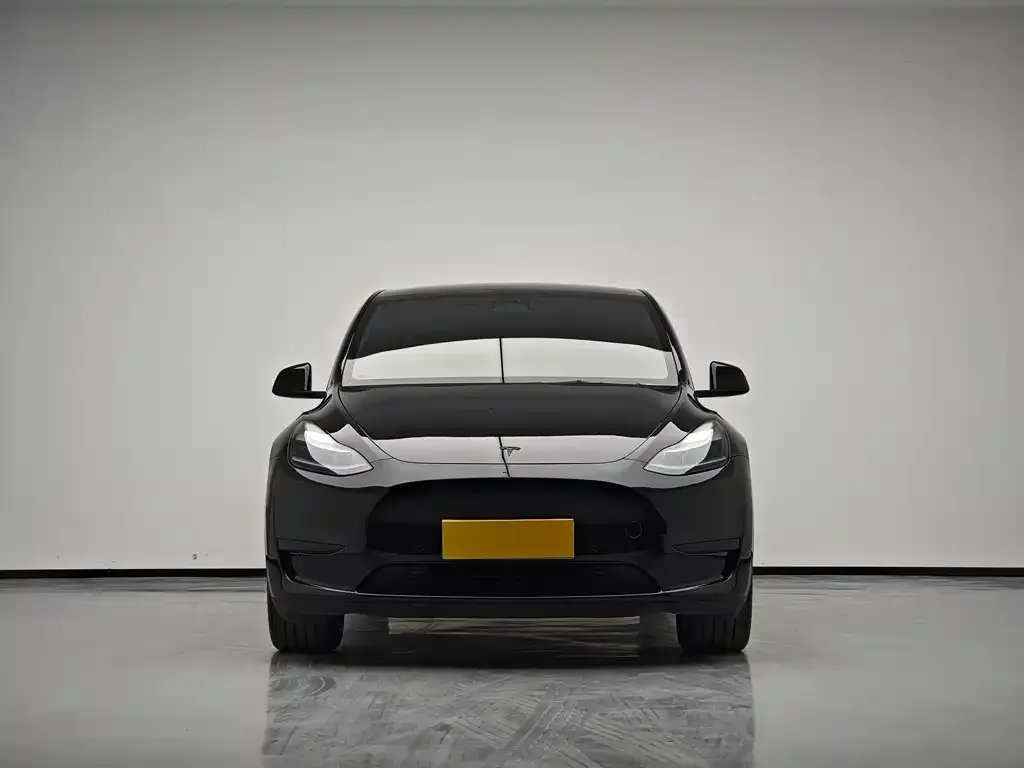 Tesla Model Y 2024 из CN, фото 3