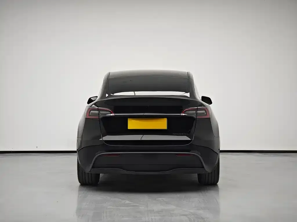 Tesla Model Y 2024 из CN, фото 4