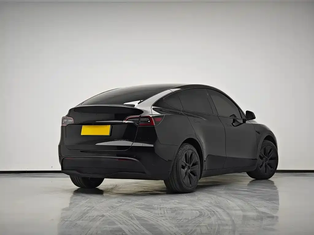 Tesla Model Y 2024 из CN, фото 6