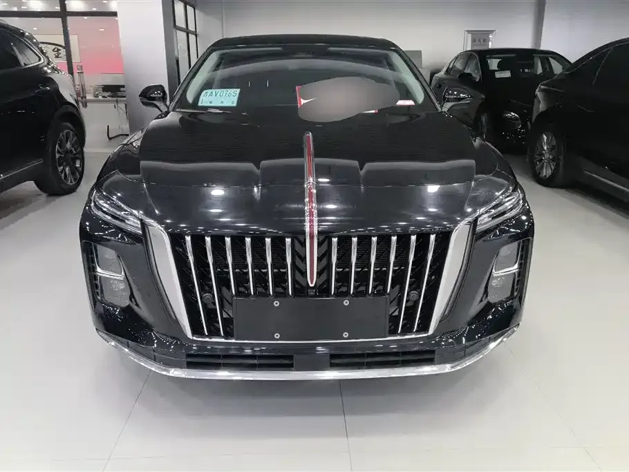 Hongqi H5 PHEV 2025 из CN, фото 6