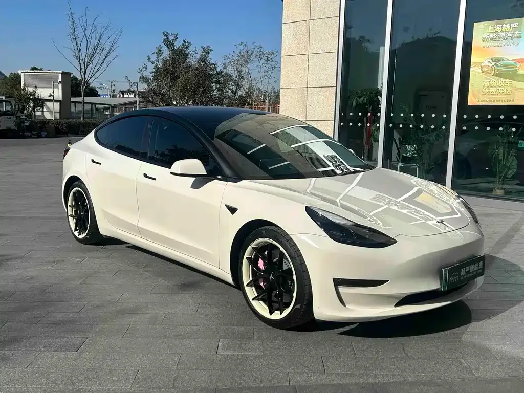 Tesla Model 3 2021 из CN, фото 1
