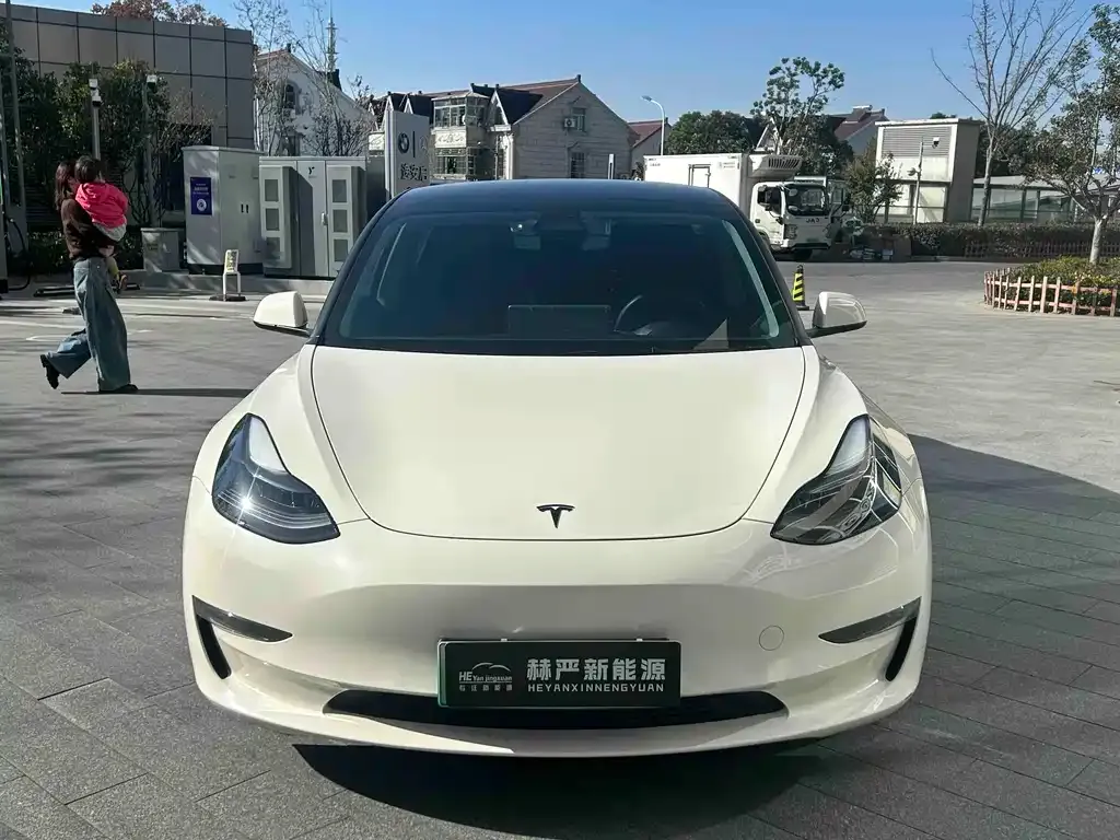 Tesla Model 3 2021 из CN, фото 2