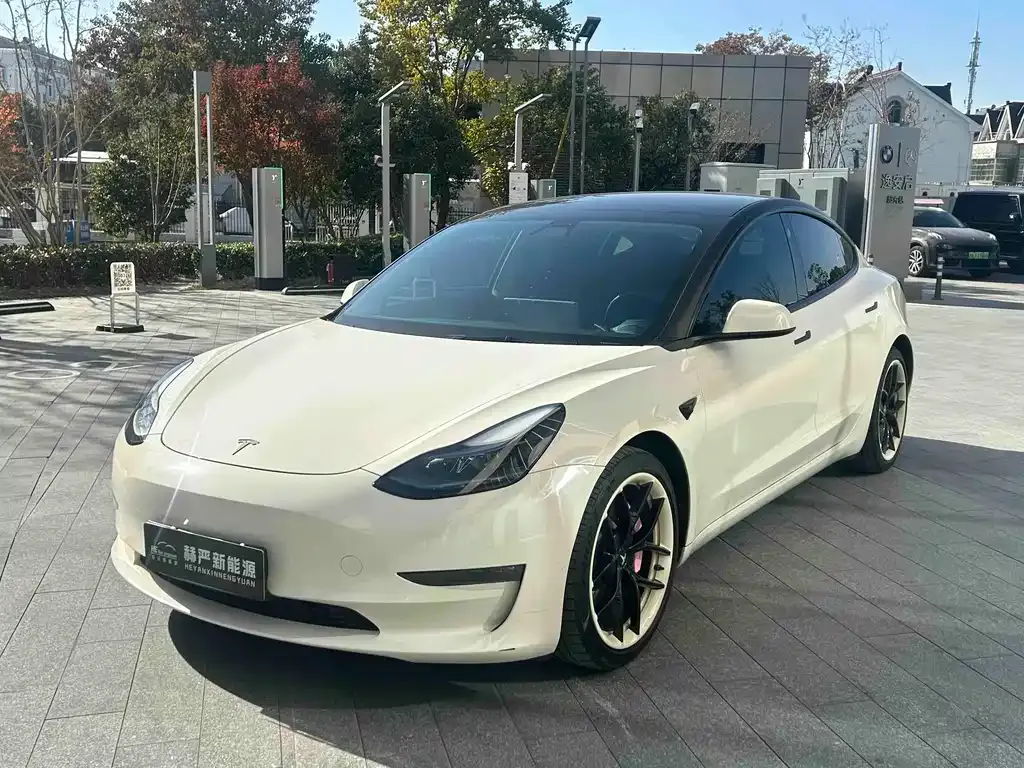 Tesla Model 3 2021 из CN, фото 3