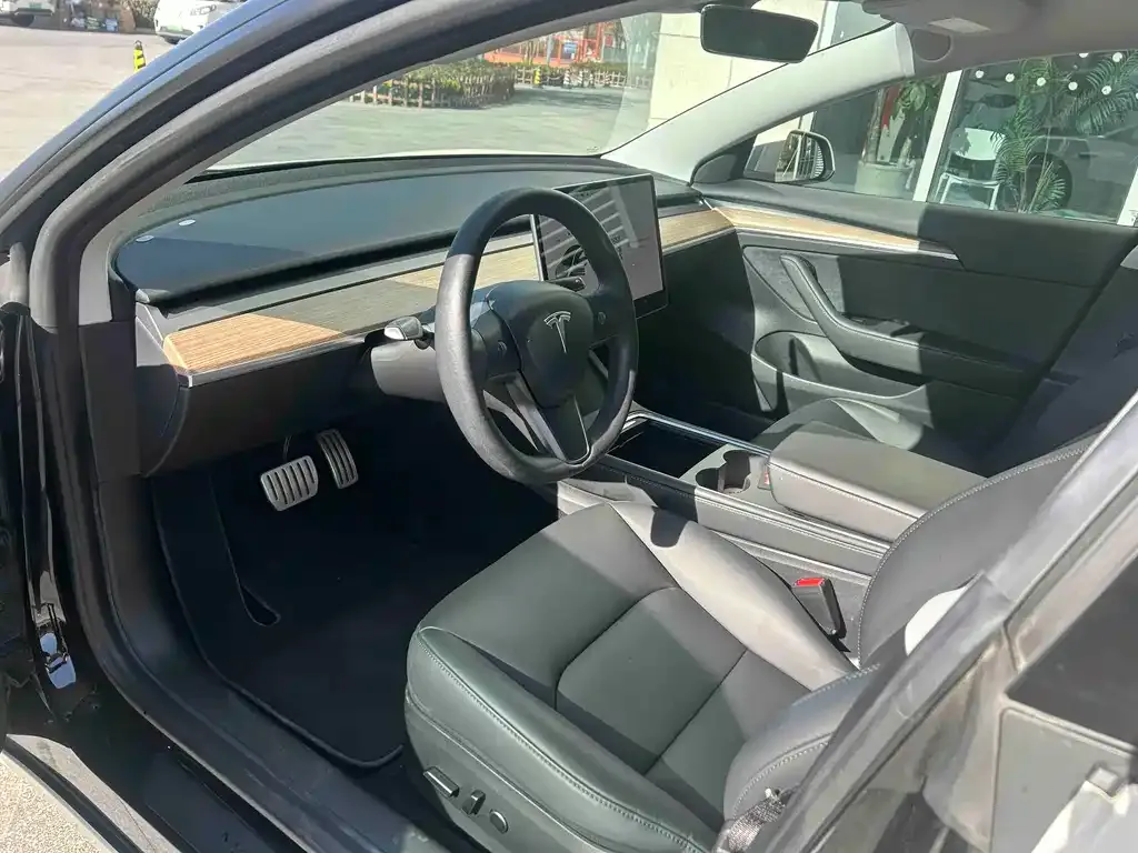 Tesla Model 3 2021 из CN, фото 4