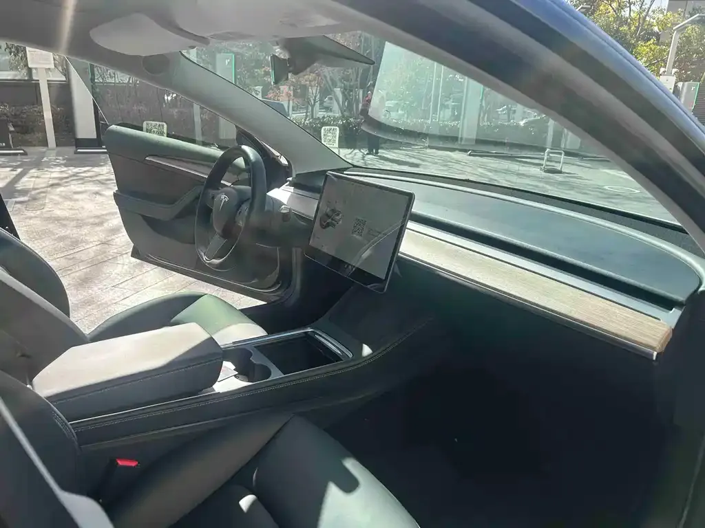 Tesla Model 3 2021 из CN, фото 5