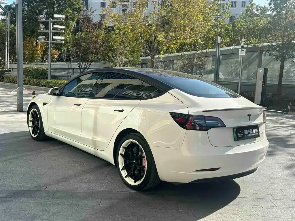 Tesla Model 3 2021 из CN, фото 7