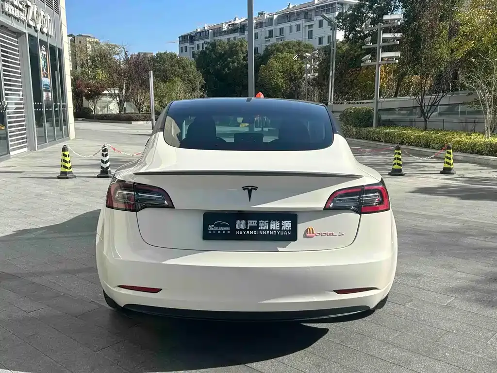 Tesla Model 3 2021 из CN, фото 8