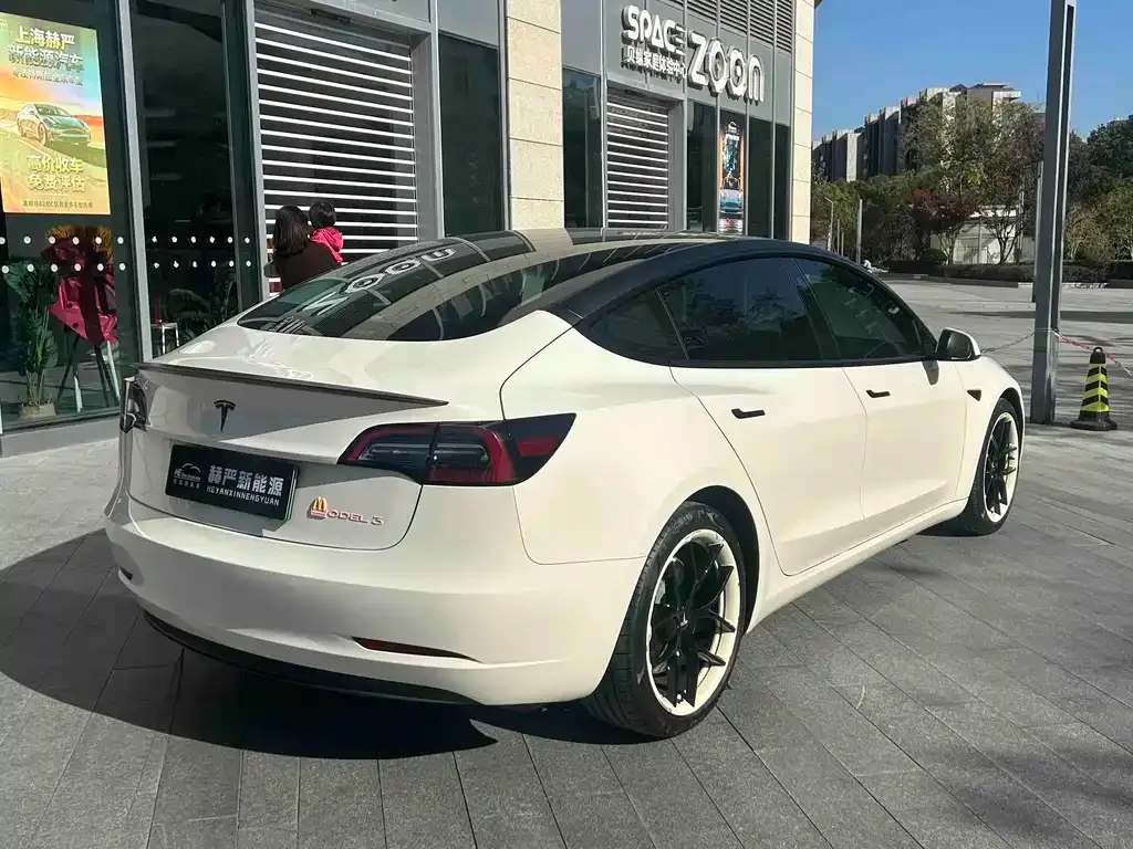 Tesla Model 3 2021 из CN, фото 9