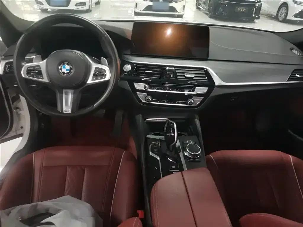 BMW 5 Series 2021 из CN, фото 4