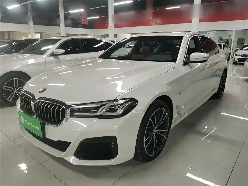 BMW 5 Series 2021 из CN, фото 5