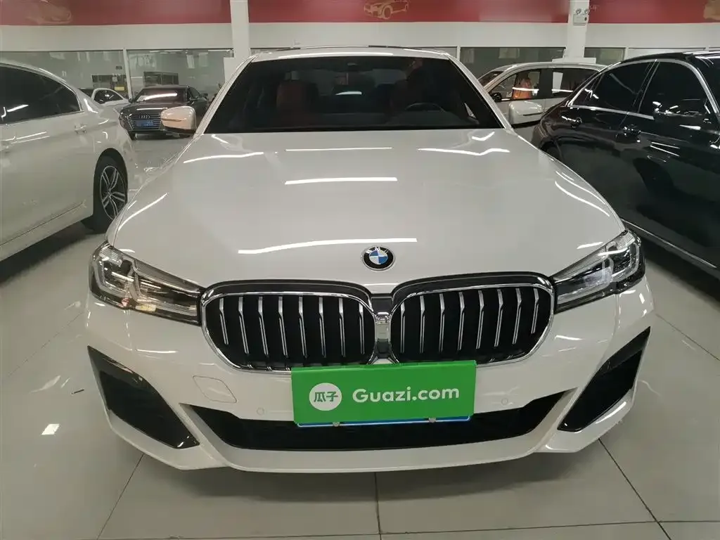 BMW 5 Series 2021 из CN, фото 3