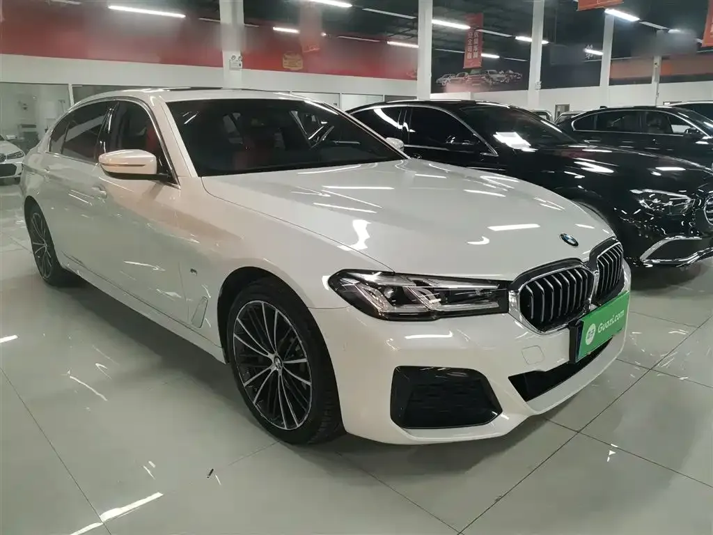 BMW 5 Series 2021 из CN, фото 7