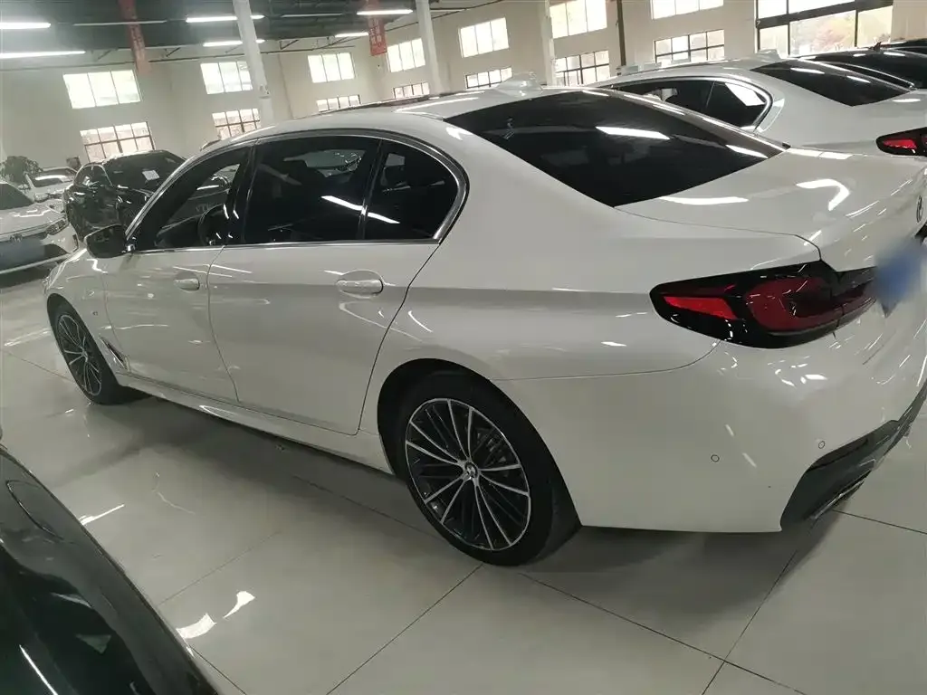 BMW 5 Series 2021 из CN, фото 9