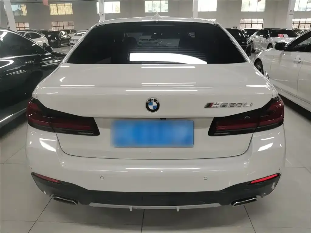 BMW 5 Series 2021 из CN, фото 10