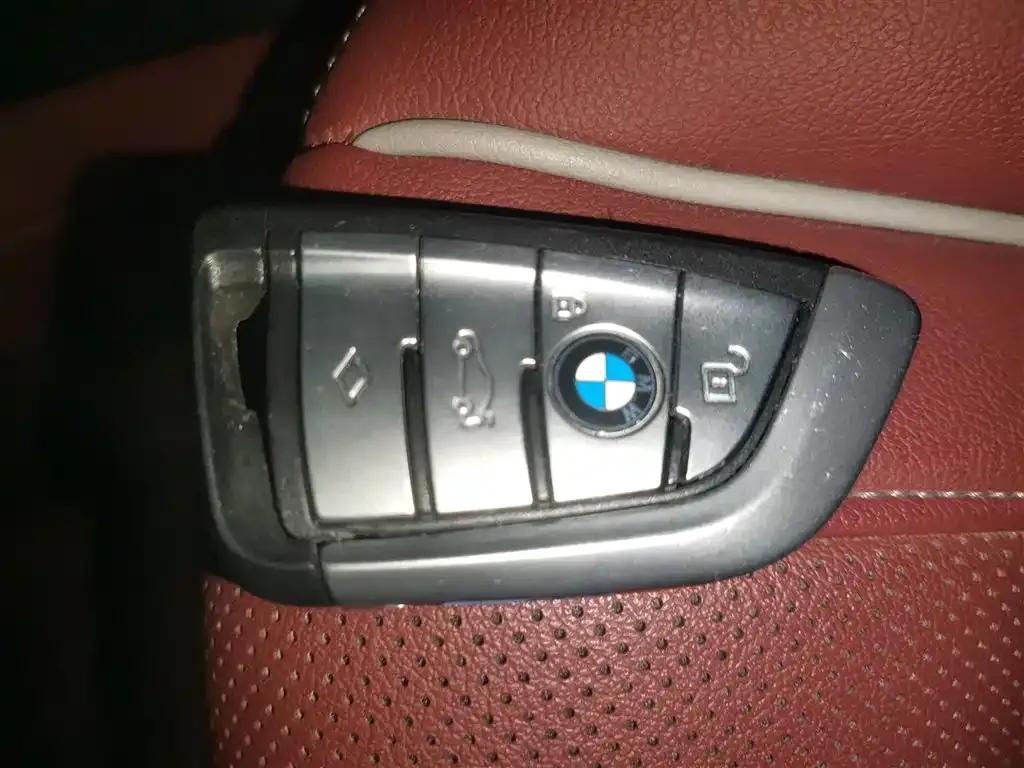 BMW 5 Series 2021 из CN, фото 8