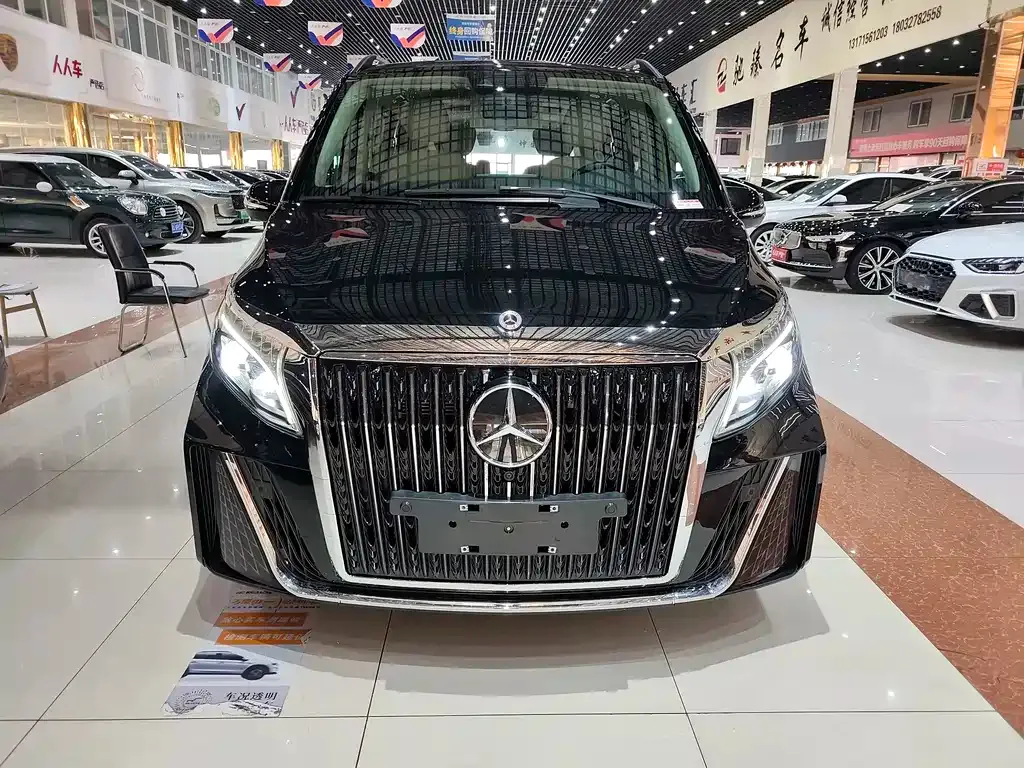 Mercedes-Benz V-Class 2024 из CN, фото 10