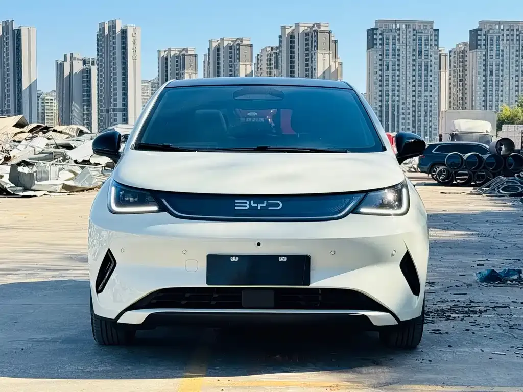 BYD Dolphin 2025 из CN, фото 8