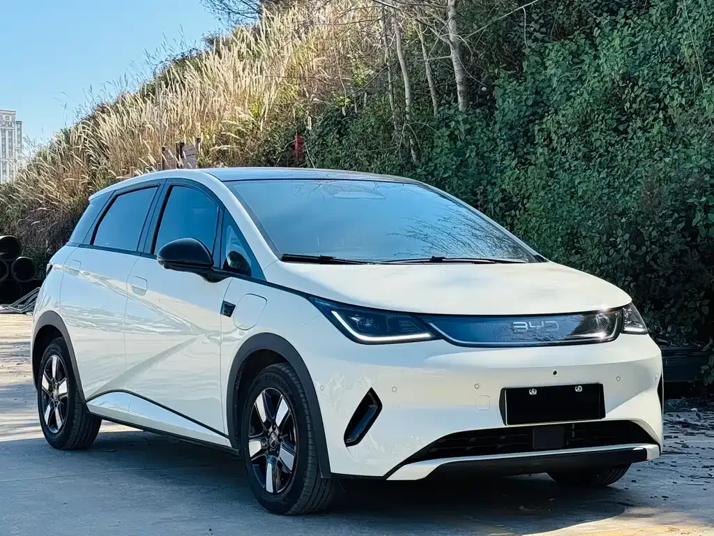 BYD Dolphin 2025 из CN, фото 7