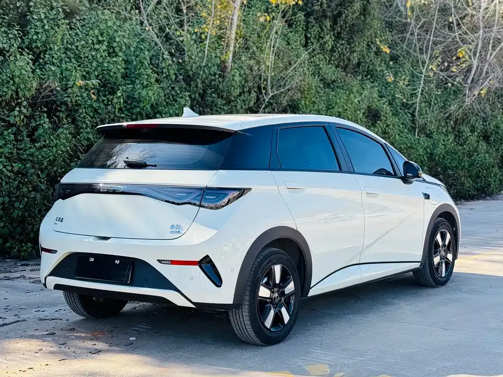 BYD Dolphin 2025 из CN, фото 10