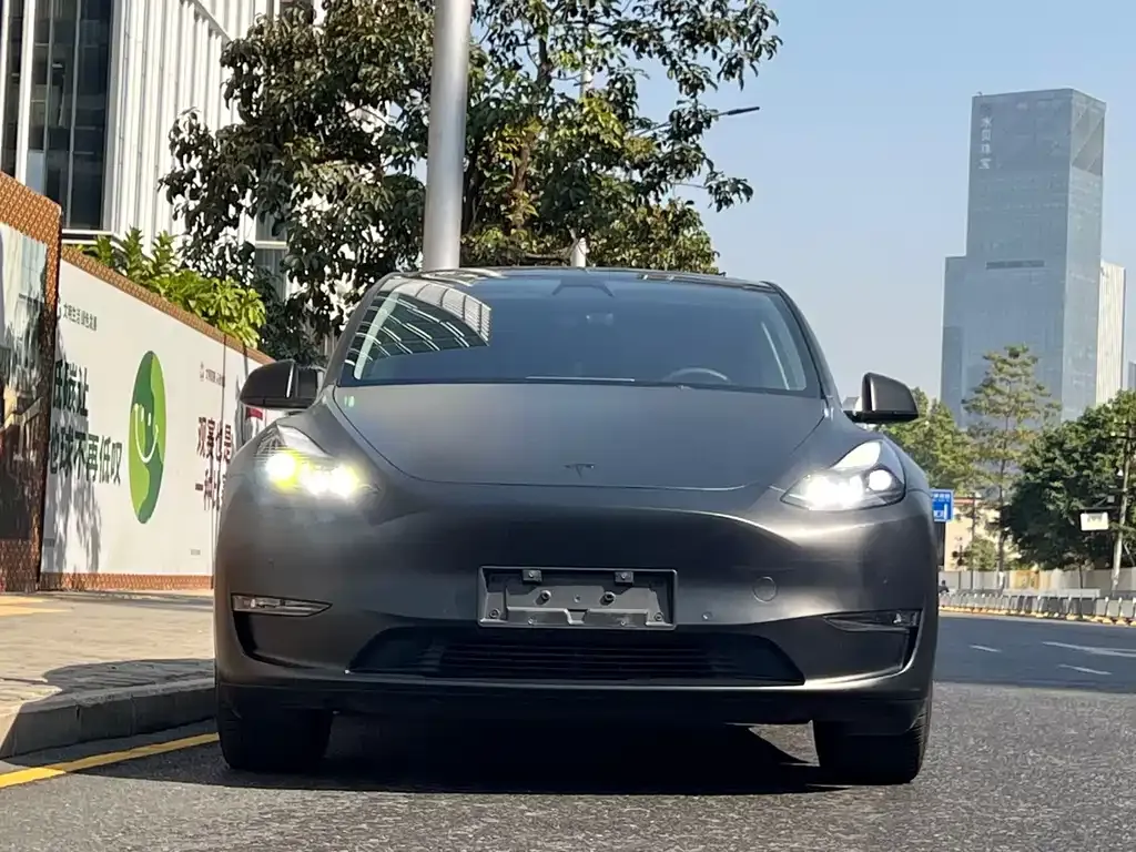 Tesla Model Y 2023 из CN, фото 9