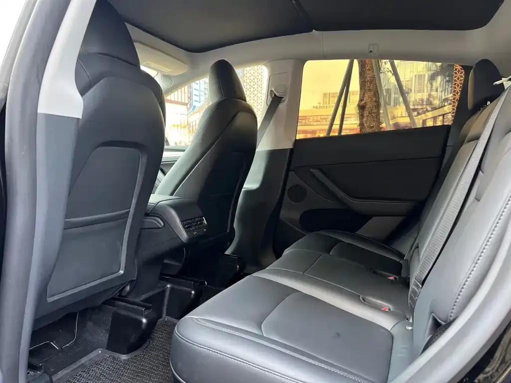 Tesla Model Y 2023 из CN, фото 7