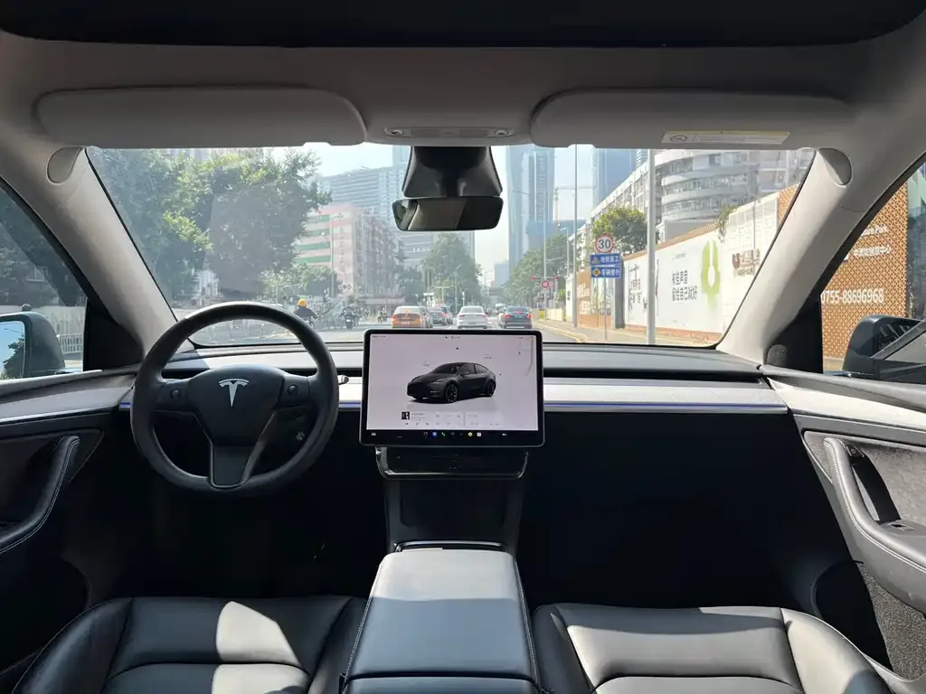 Tesla Model Y 2023 из CN, фото 4