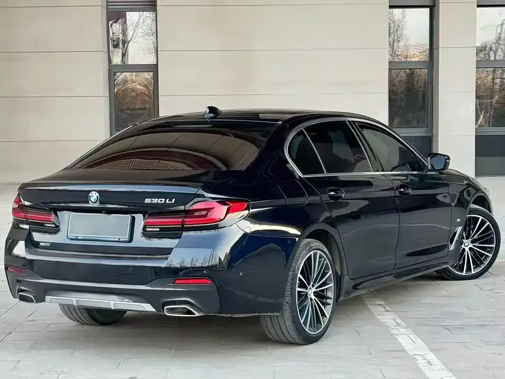 BMW 5 Series 2023 из CN, фото 6