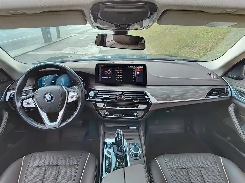 BMW 5 Series 2022 из CN, фото 7