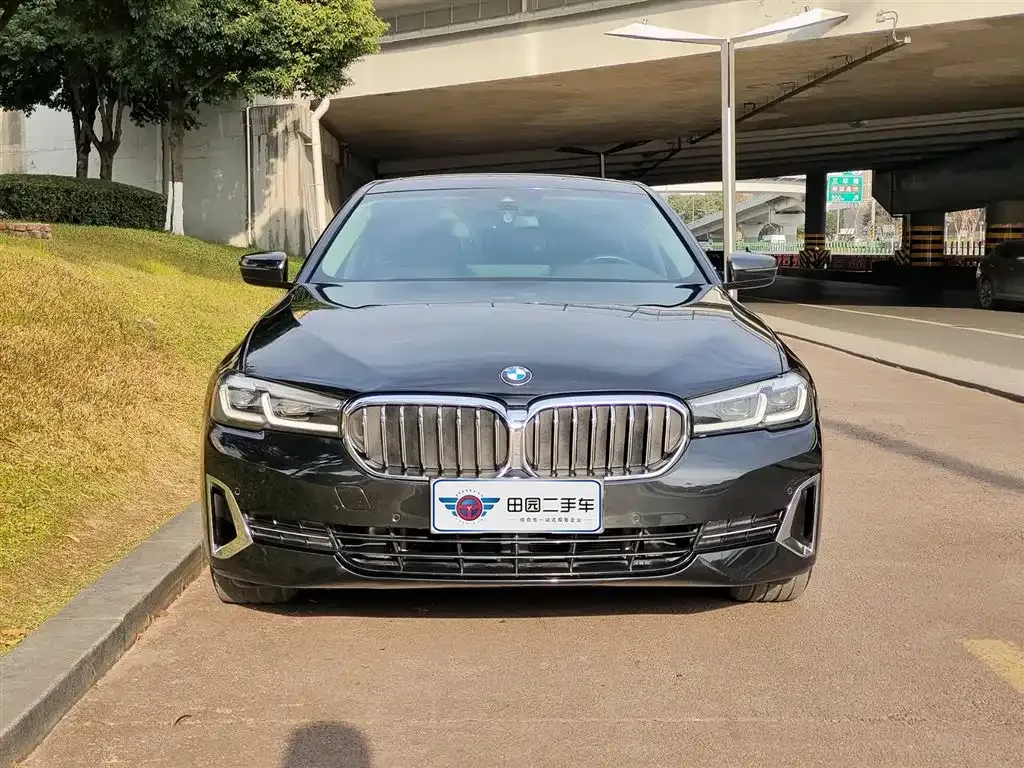 BMW 5 Series 2022 из CN, фото 9