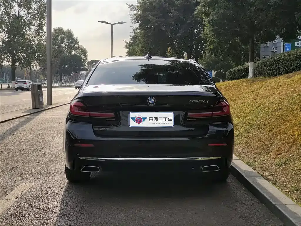 BMW 5 Series 2022 из CN, фото 8