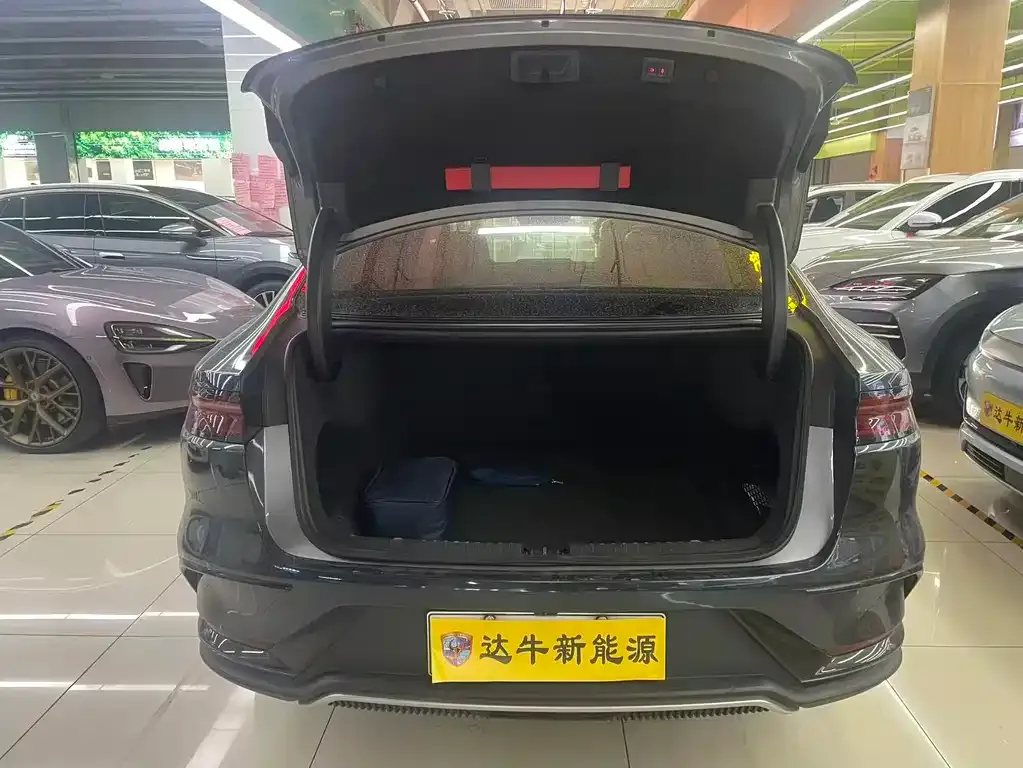 BYD Han 2024 из CN, фото 2