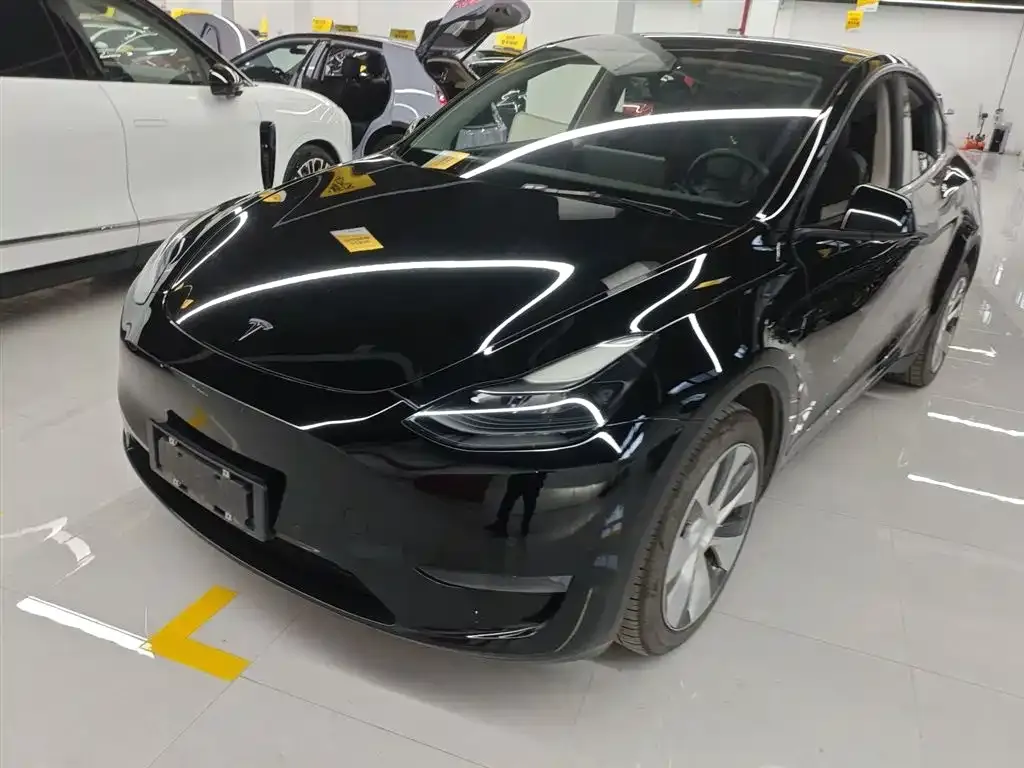 Tesla Model Y 2021 из CN, фото 1