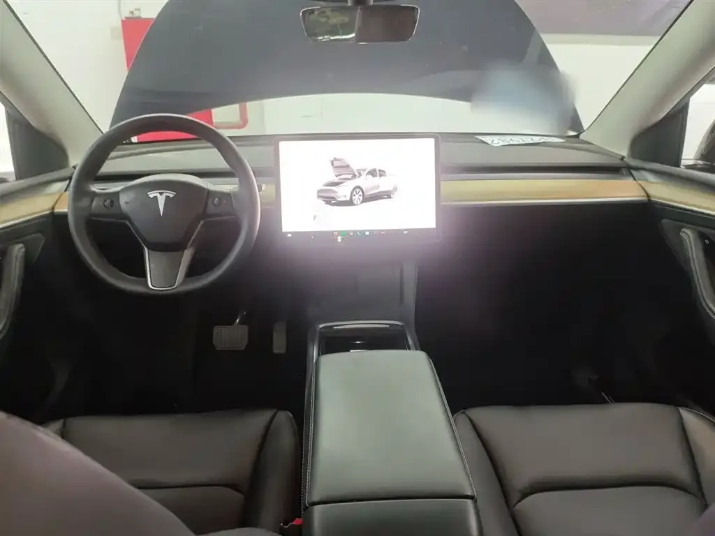 Tesla Model Y 2021 из CN, фото 6