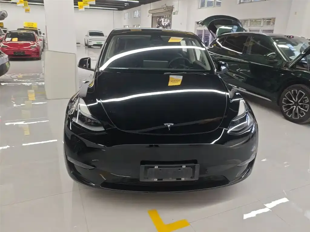 Tesla Model Y 2021 из CN, фото 9