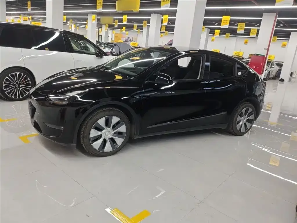 Tesla Model Y 2021 из CN, фото 4