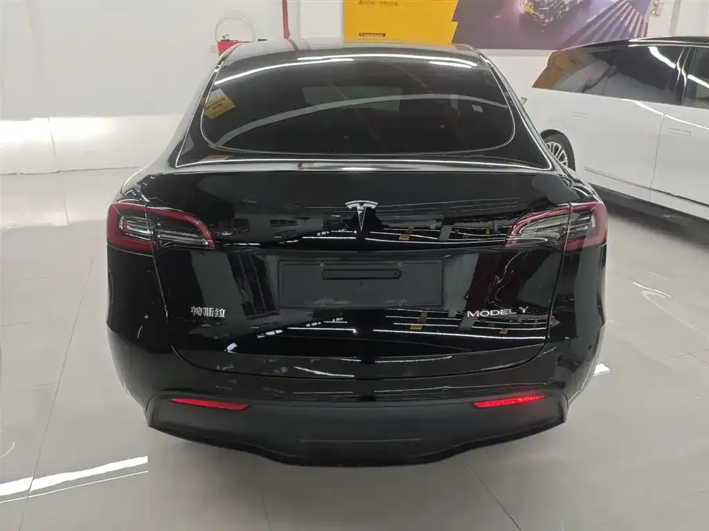 Tesla Model Y 2021 из CN, фото 5