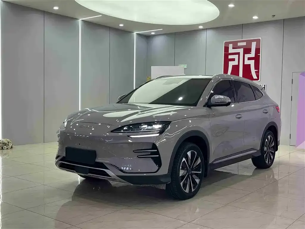 BYD PLUS New Energy 2024 из CN, фото 1